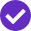 Gravwell Purple Checkmark