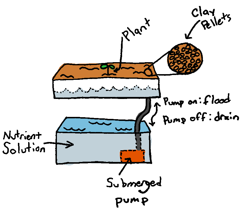 A basic ebb and flow system